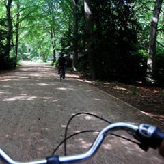 tag - Bicicletta